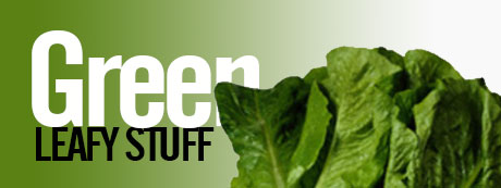 a bite of jersey chicken wrap